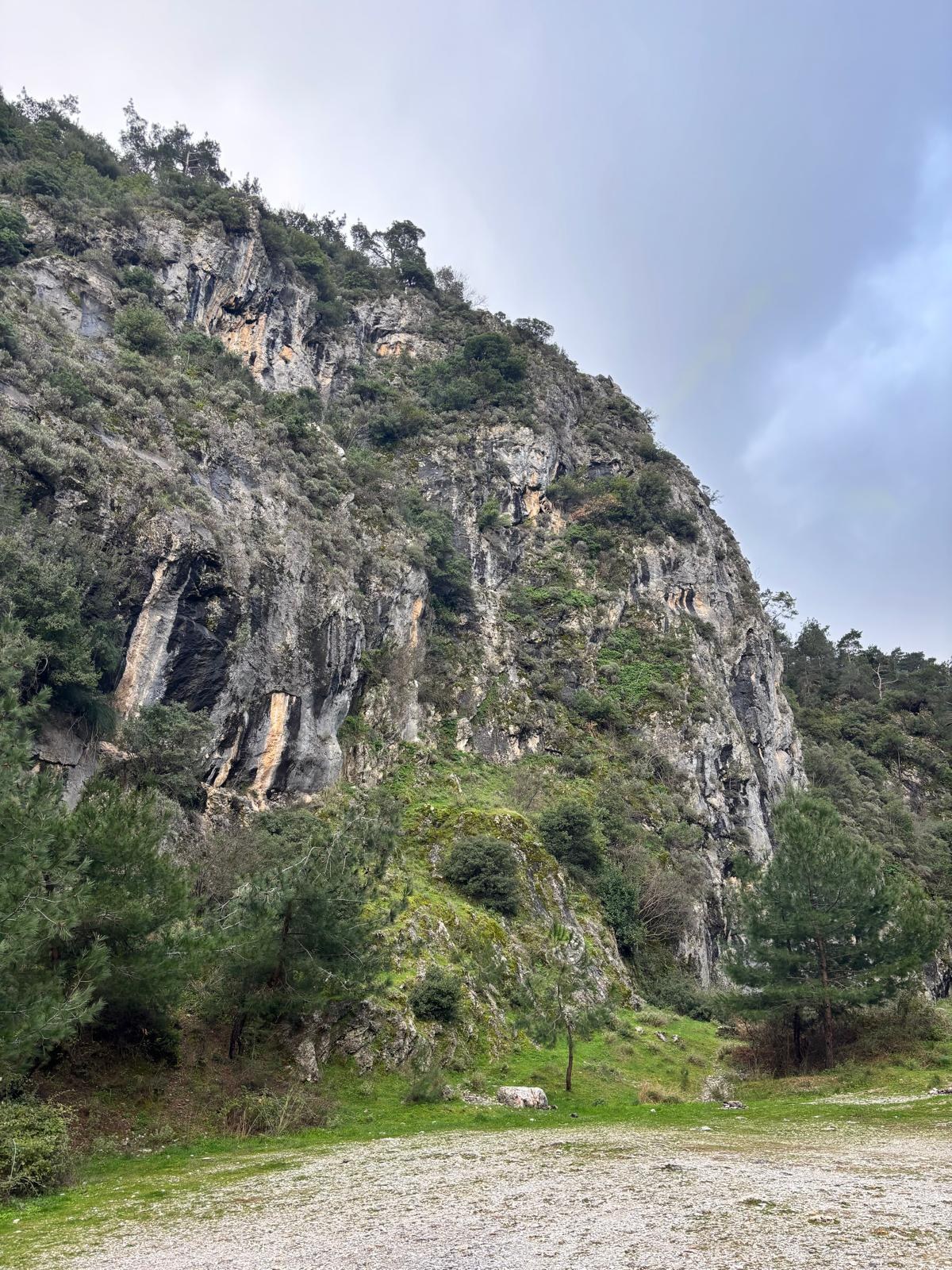 Sarp kayalıkların ve ormanlık yamaçların arasından ilerleyen dağ yolu